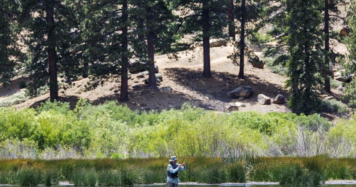 You are currently viewing Man goes missing while camping in Big Bear, found dead