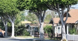 Read more about the article Online real estate scams are increasing in California. What you should know