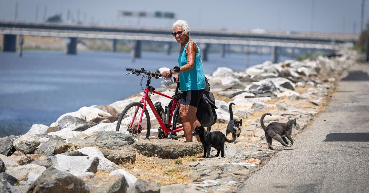 You are currently viewing Gap in the L.A. River bike path downtown has a billion-dollar problem