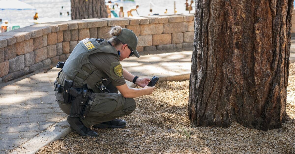 Read more about the article Mysterious poisoning of Tahoe trees may improve somebody’s view