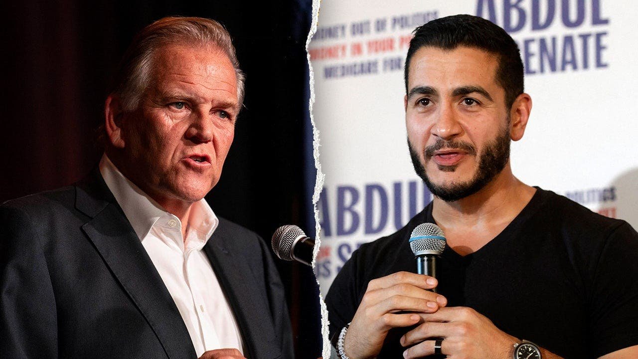 You are currently viewing Democratic strategist Julian Epstein backs Mike Rogers over El-Sayed