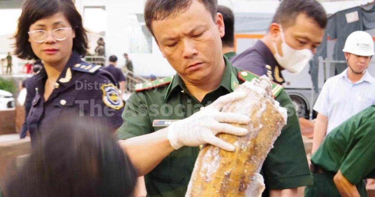 Read more about the article Authorities in Vietnam discover more than a ton of concealed ivory illegally shipped from Africa