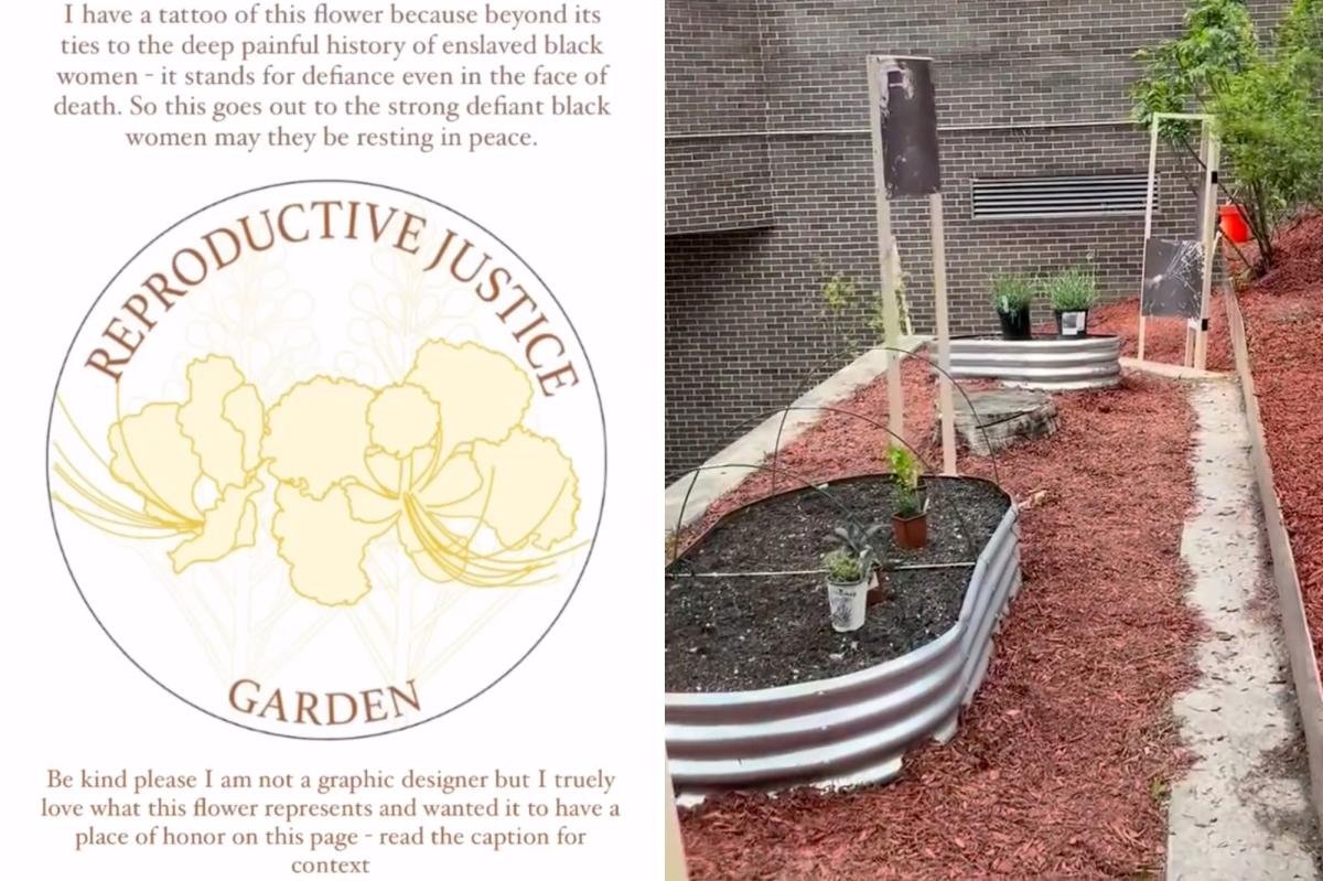 You are currently viewing Taxpayer-funded NY college hosts ‘reproductive justice’ garden of abortion-inducing plants