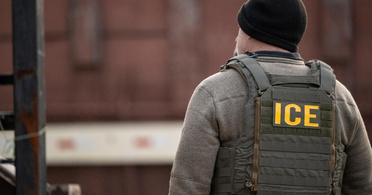 Read more about the article Those shock gloves ICE plans to buy can bring strong men to their knees in less than a second