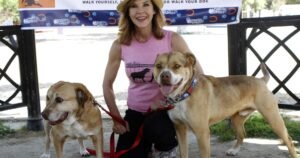 Read more about the article L.A. County authorities discover 251 dogs at ‘The Exorcist’ actor Linda Blair’s dog kennel