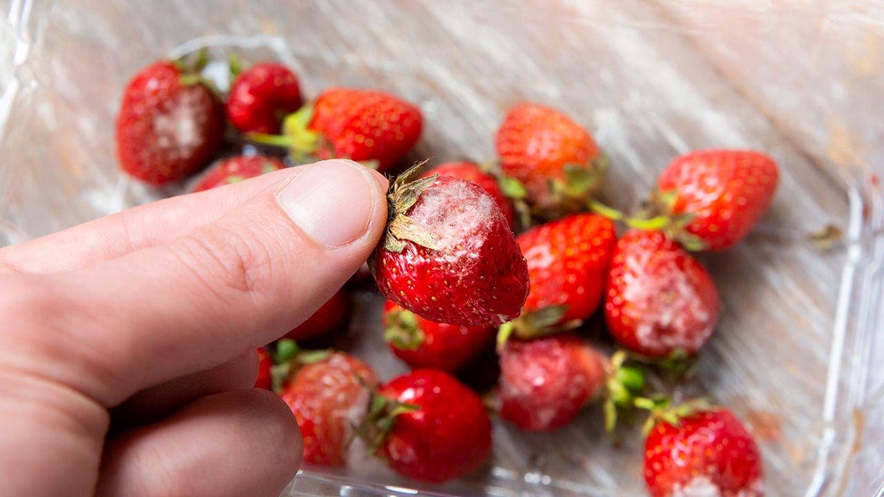 You are currently viewing Seaweed coating doubles strawberries’ shelf life without refrigeration: study