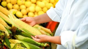 Read more about the article Corn shucking at the grocery store sparks ongoing food safety debate