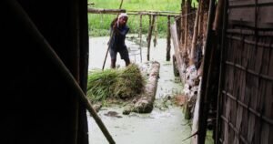 Read more about the article Flood death toll in India’s Assam reaches 100 as thousands lose their homes