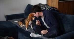 Read more about the article Gene-edited beagles may offer a future option for people with dog allergies