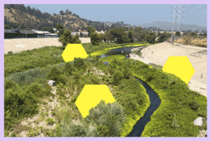 Read more about the article Will it ever be safe to swim in the L.A. River?