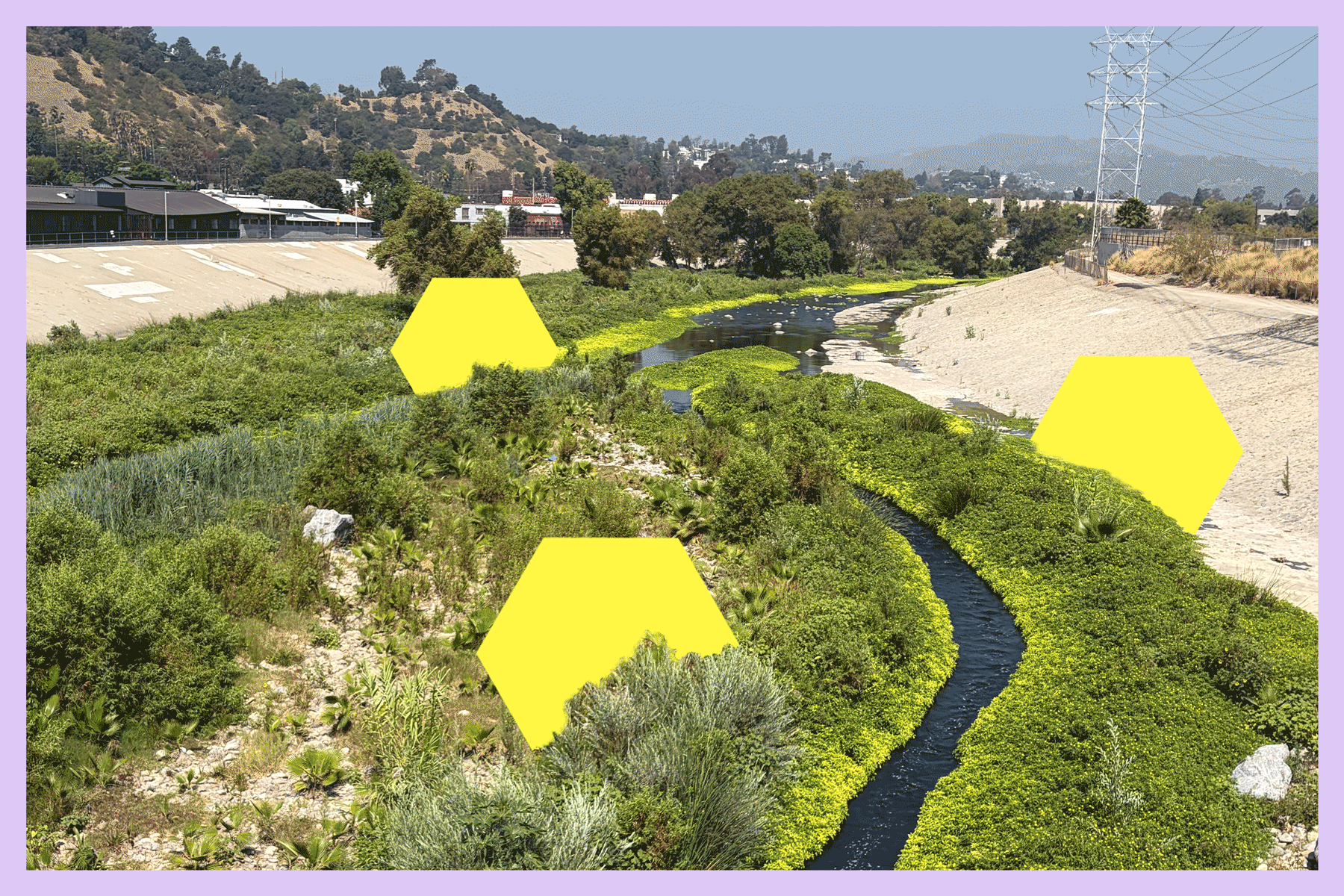 You are currently viewing Will it ever be safe to swim in the L.A. River?