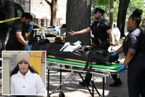 Read more about the article Brooklyn woman found dead after neighbor hears ‘30 minutes of hammering’ and a final ‘F–k You’ coming from home