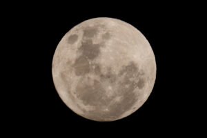 Read more about the article VOSD Podcast: Lunar Cycles