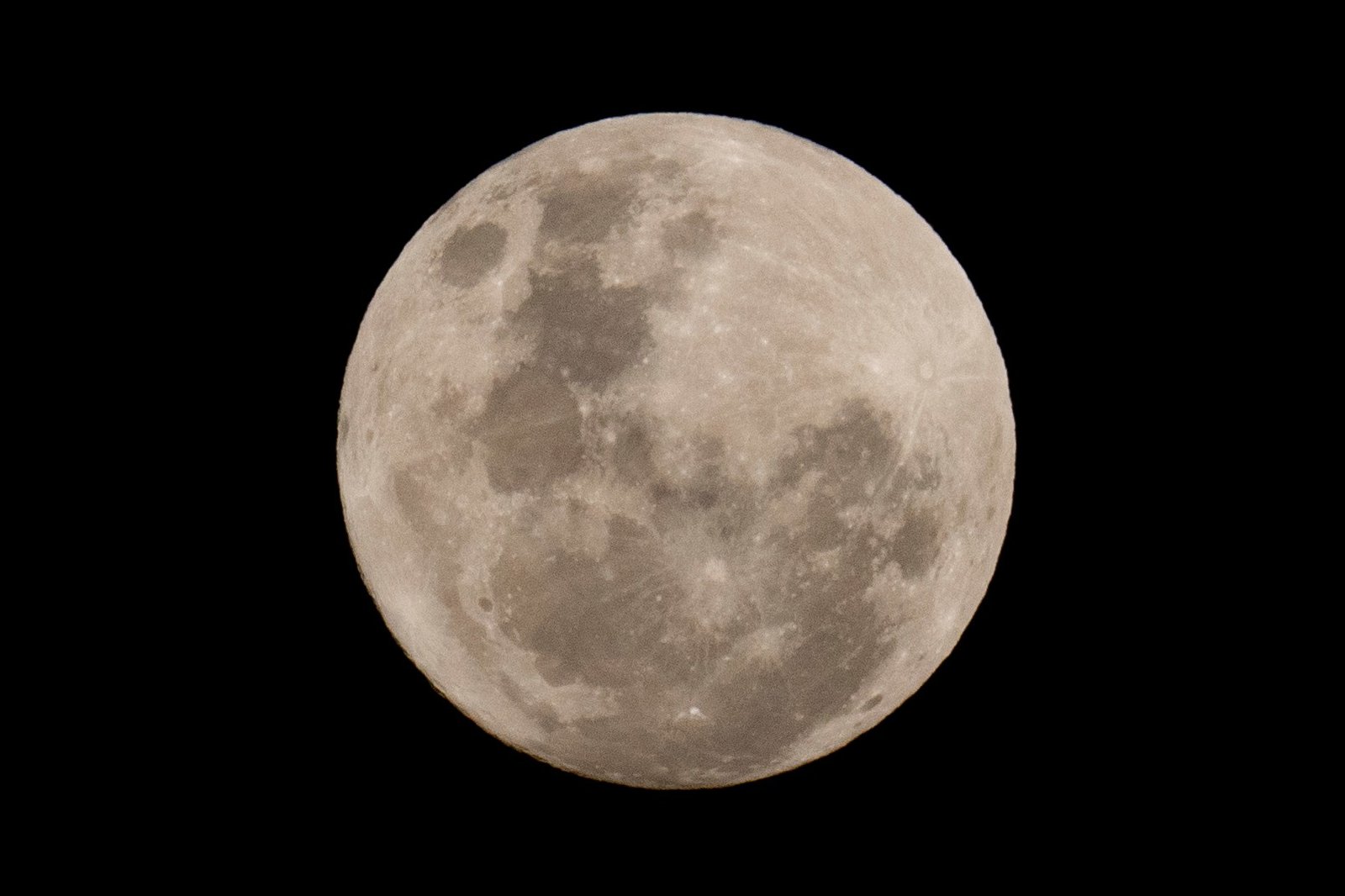 Read more about the article VOSD Podcast: Lunar Cycles