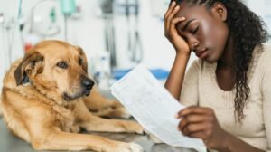 Read more about the article Most pet owners would go into debt for their pet —  most can’t afford to