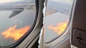 Read more about the article Video shows flames coming from American Airlines plane after bird strike