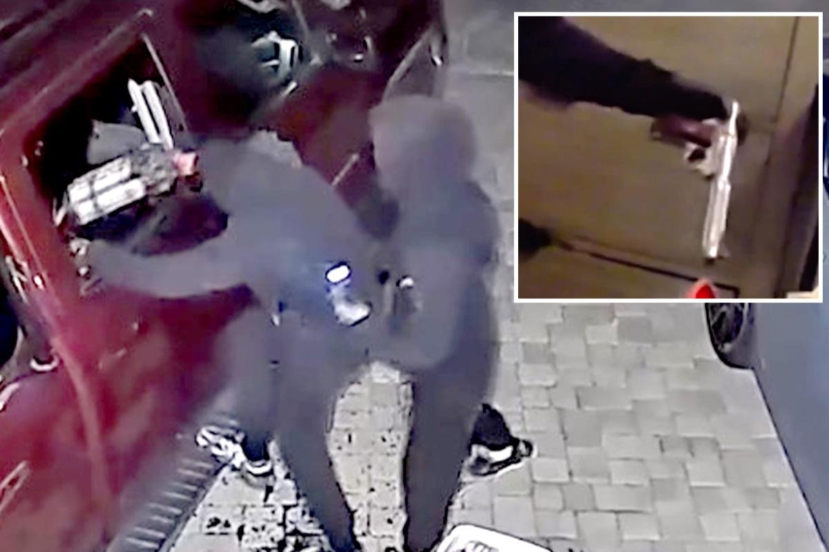 You are currently viewing Young punks busted in insane serial armed robbery spree targeting 77 Bay Area homes and cars