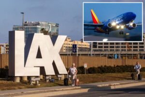 Read more about the article Passenger dies mid-flight on LAX-bound plane after multiple CPR attempts