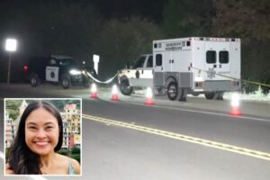 Read more about the article Body found in area where mom mysteriously vanished after dropping daughter off at camp