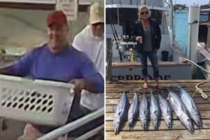 Read more about the article Maine fishing town outraged after smiling goons were filmed snatching woman’s lobster catch