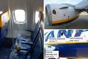 Read more about the article Bird strike may have caused disastrous Ryanair flight where passenger was nearly sucked out of window: NTSB