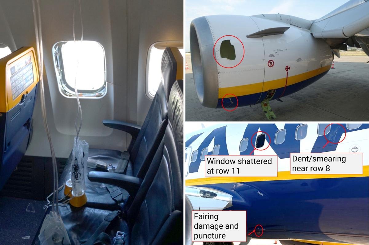 You are currently viewing Bird strike may have caused disastrous Ryanair flight where passenger was nearly sucked out of window: NTSB