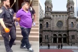 Read more about the article Lunatic attacks congregant at NYC synagogue, spits at security guard in antisemitic attack: NYPD