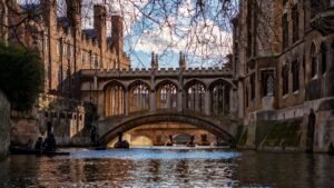 Read more about the article Cambridge sociology professor Jason Arday resigns amid plagiarism probe