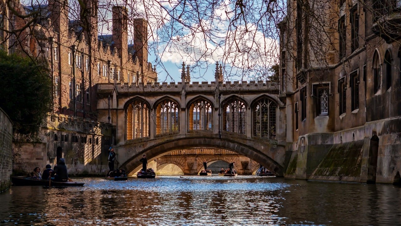 You are currently viewing Cambridge sociology professor Jason Arday resigns amid plagiarism probe