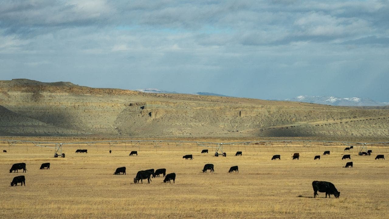 You are currently viewing James Byrd wins Wyoming’s Democratic primary for open Senate seat