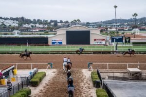 Read more about the article Fairgrounds Board Kills Affordable Housing Deal with Del Mar 