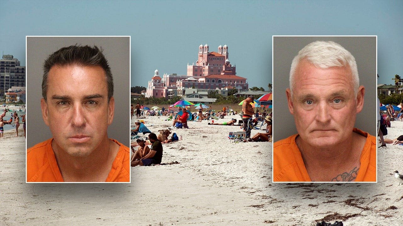Read more about the article St. Pete Beach owners charged for allegedly dumping mothballs near bird nests