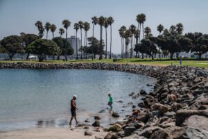 Read more about the article Amazon Goes to the Beach