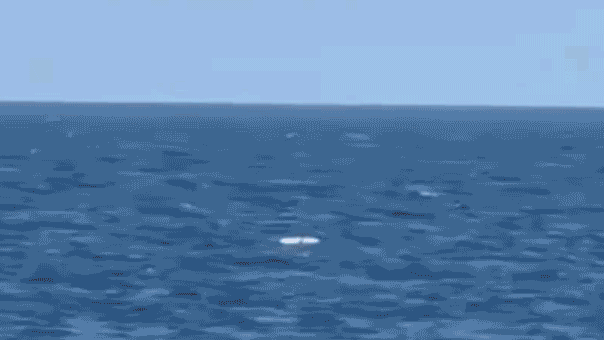 Read more about the article Ukraine drone attack on Novorossiysk disrupts Russian grain exports