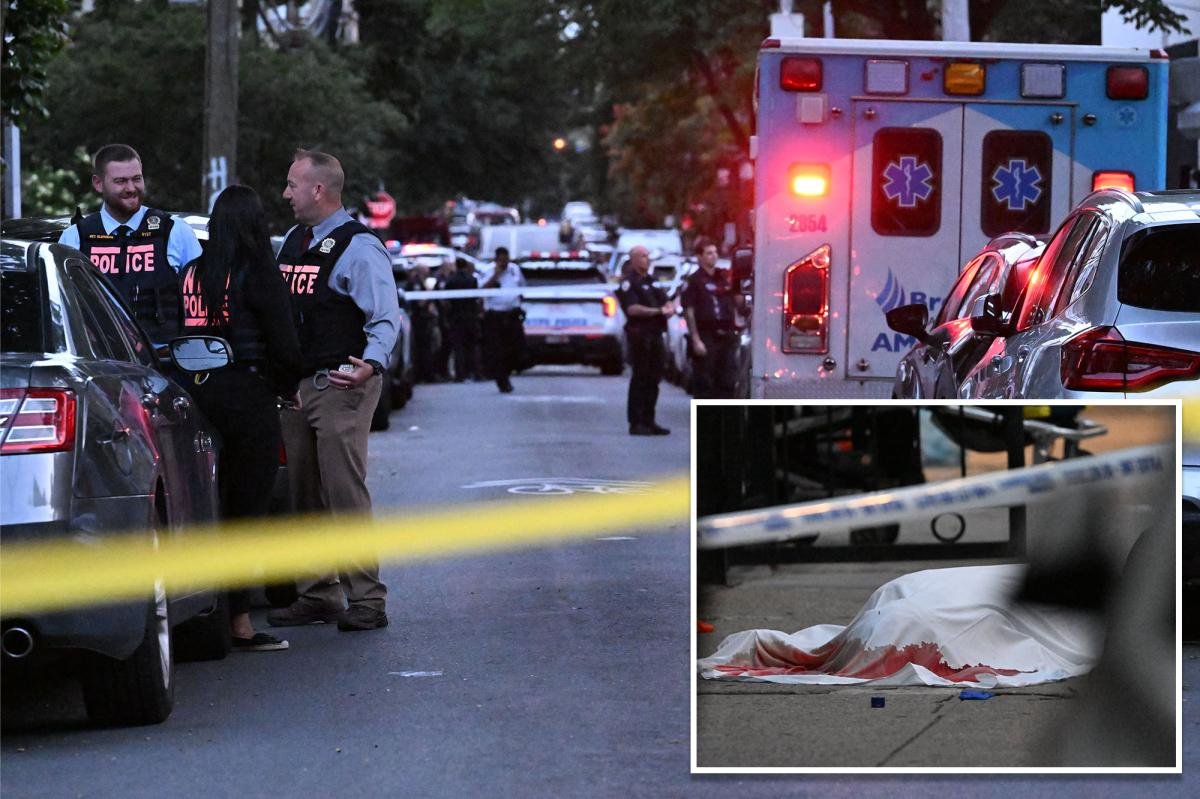 You are currently viewing 39-year-old killed with single shot to the head outside NYC home