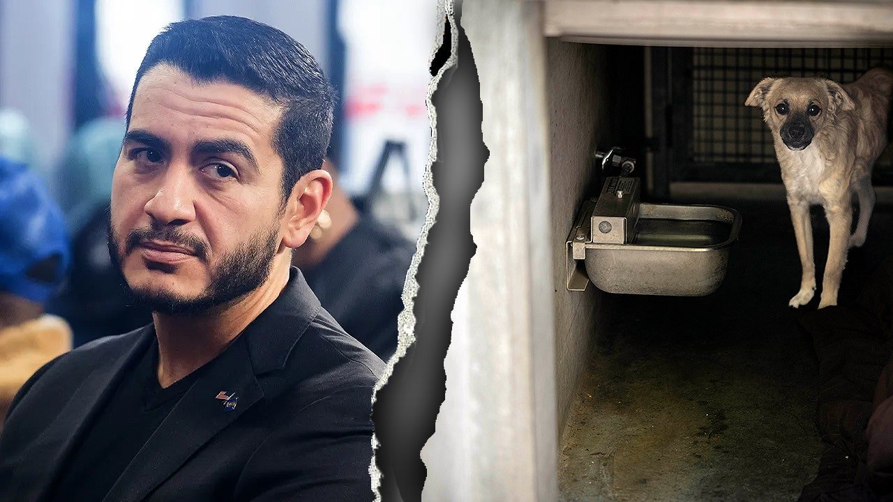 Read more about the article Dem Senate nominee’s Detroit record resurfaces after ‘dog slaughterhouse’ claims