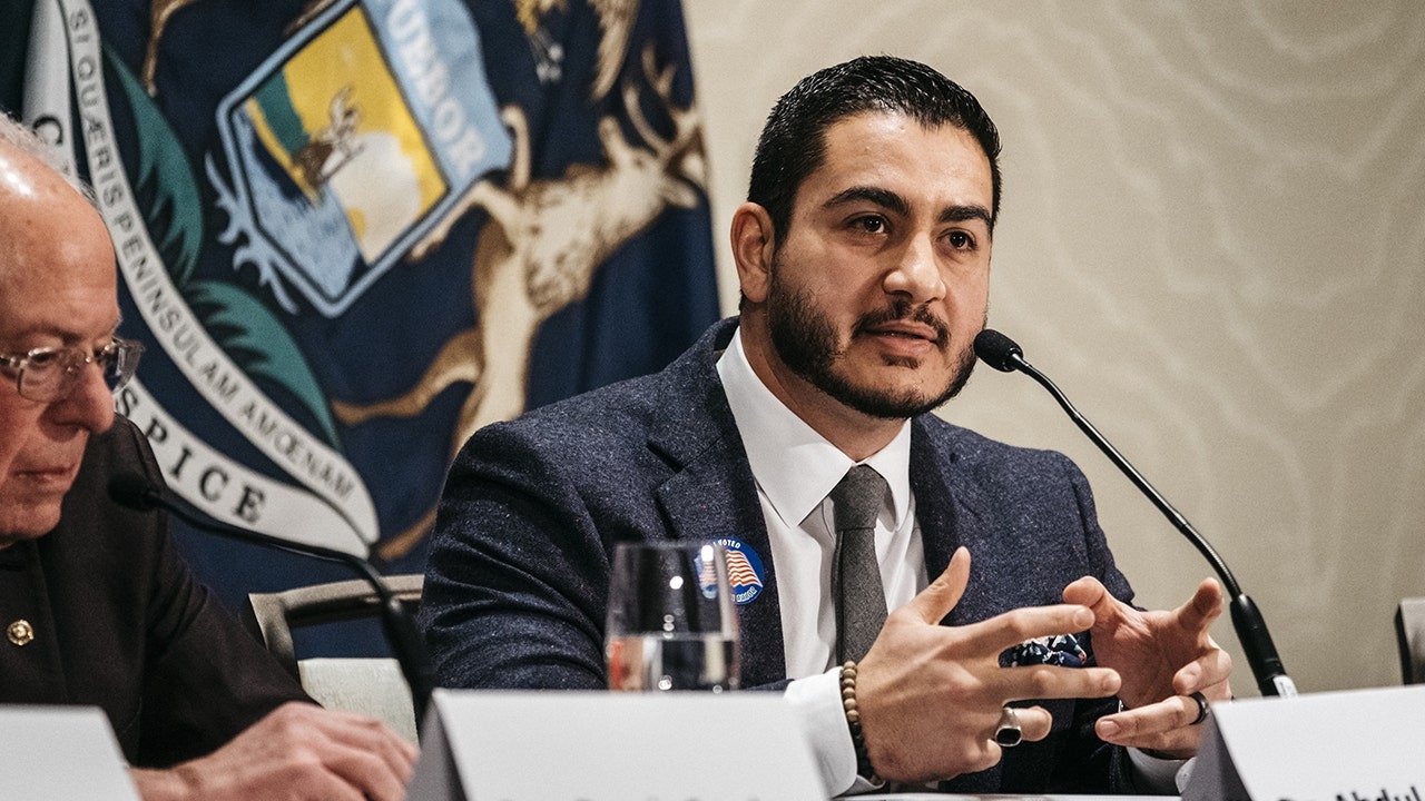 Read more about the article El-Sayed wants to ‘take it a step further’ with ‘public control’ of major industry