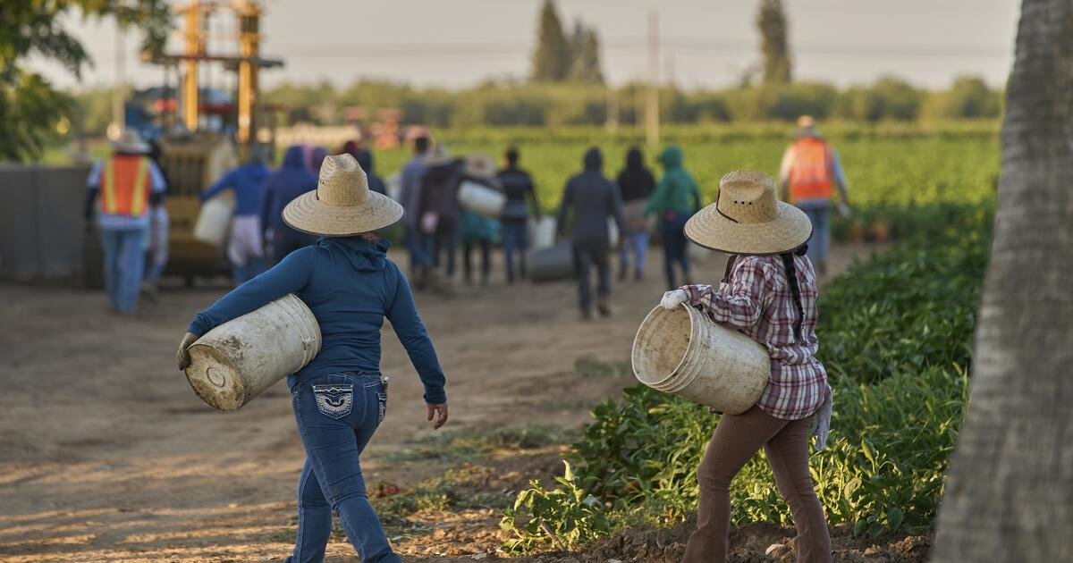 You are currently viewing California counties monitoring for measles in farm workers from Arizona