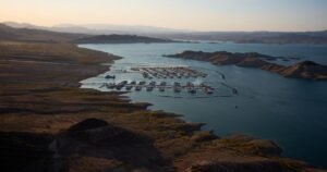 Read more about the article As Lake Mead shrinks, its body count rises