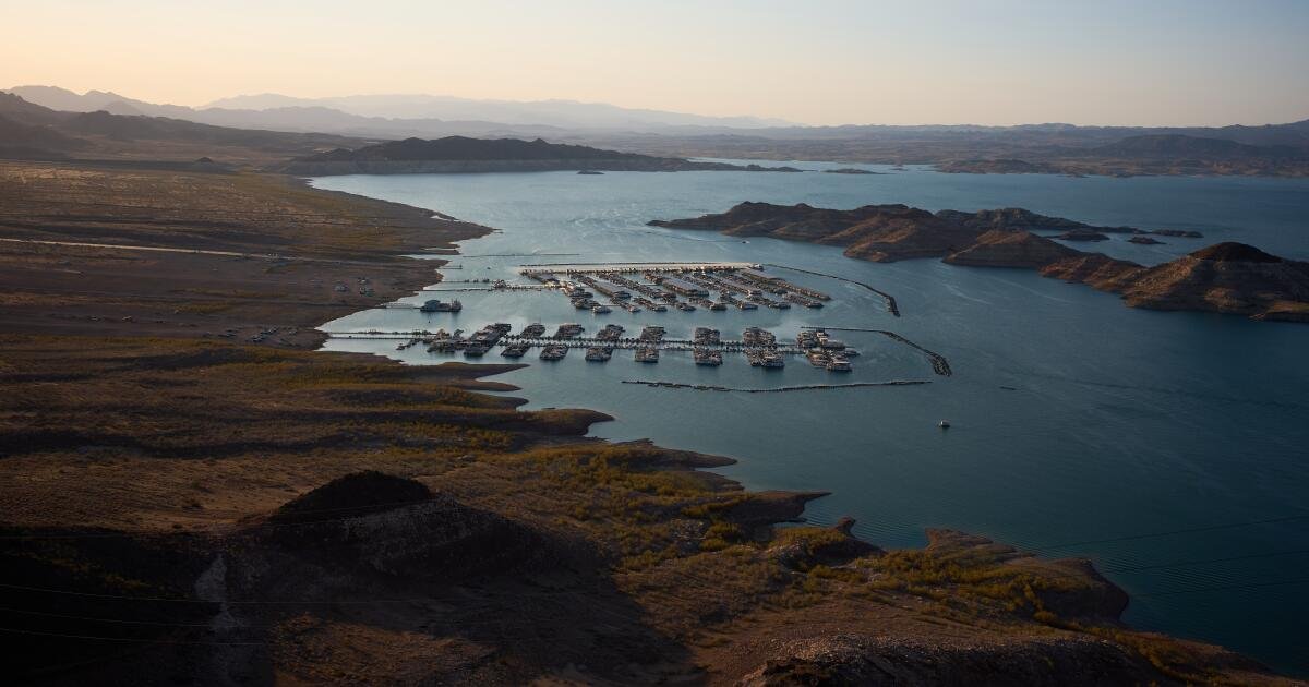 Read more about the article As Lake Mead shrinks, its body count rises