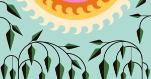 Read more about the article Is it OK to plant native plants during the SoCal heat wave?