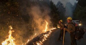 Read more about the article Forest fires follow roads. The Trump administration wants to build more