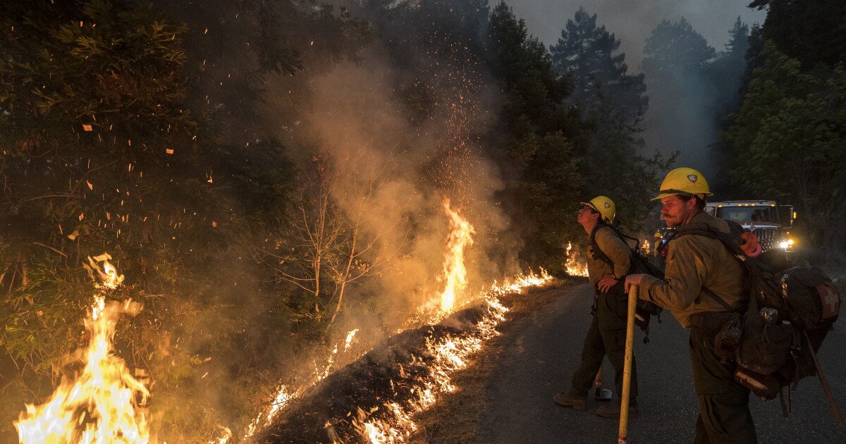 Read more about the article Forest fires follow roads. The Trump administration wants to build more