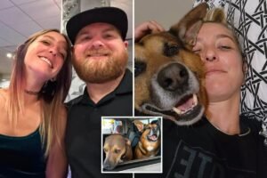 Read more about the article Alligator attack victim Brittany Clark’s boyfriend gives heartwarming update on girlfriendâs final wish