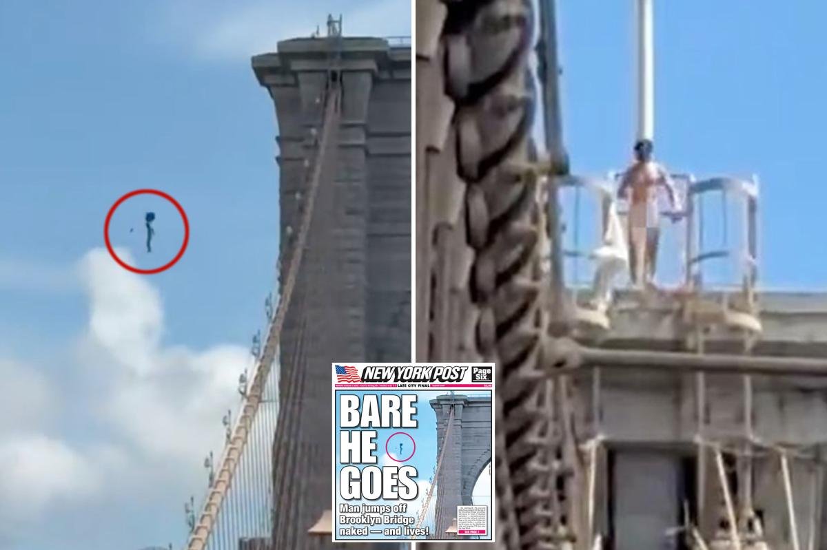 You are currently viewing Naked nutjob who leaped from Brooklyn Bridge and miraculously survived identified