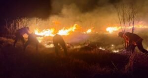Read more about the article Indonesia battles growing wildfires as Mount Bromo blaze spreads
