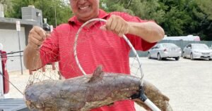 Read more about the article Massive ‘scale-breaking’ catfish caught in Southern California lake; ‘Catzilla’ still on the loose