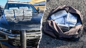 Read more about the article California drug bust seizes over $800K in cocaine at traffic stop