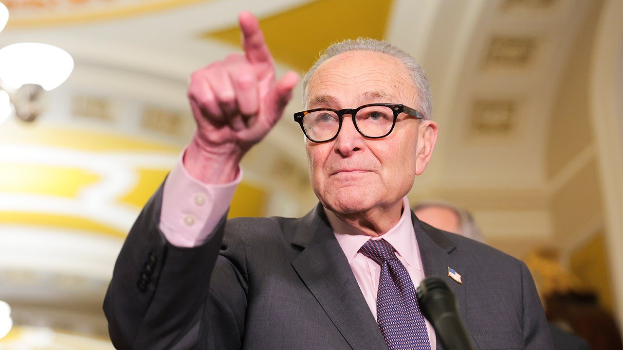You are currently viewing Schumer blocks voter ID bill despite saying Democrats support it again