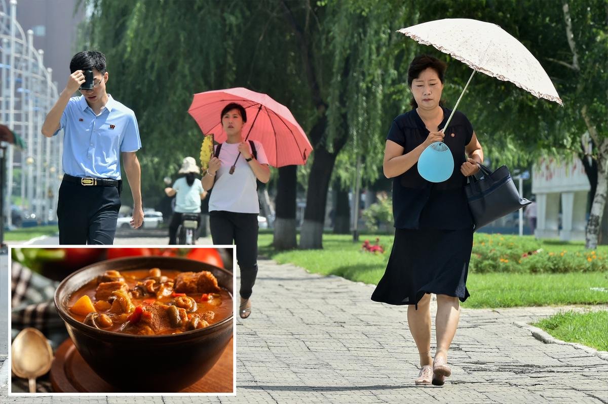 You are currently viewing North Koreans encouraged to eat ‘nutritious’ dog-meat soup during sweltering summer heat